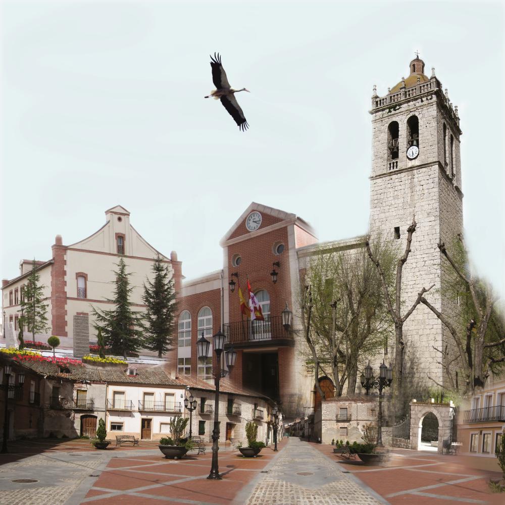 Descubre Aldeamayor de San Martín 1 Aldeamayor de san martín