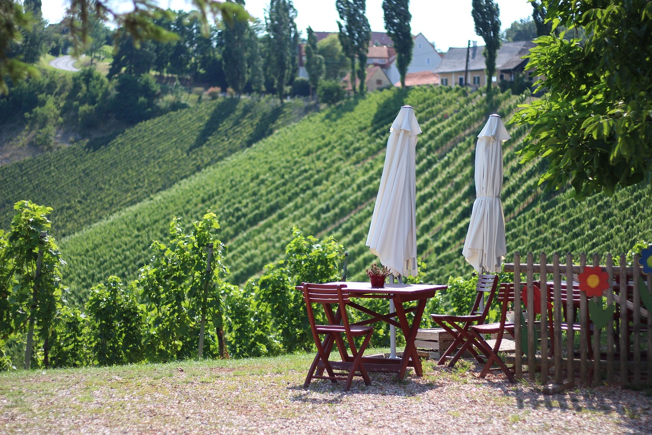 Ruta del vino Ribera del Duero: propuesta para disfrutarlo 1 ruta vinos Ribera del Duero