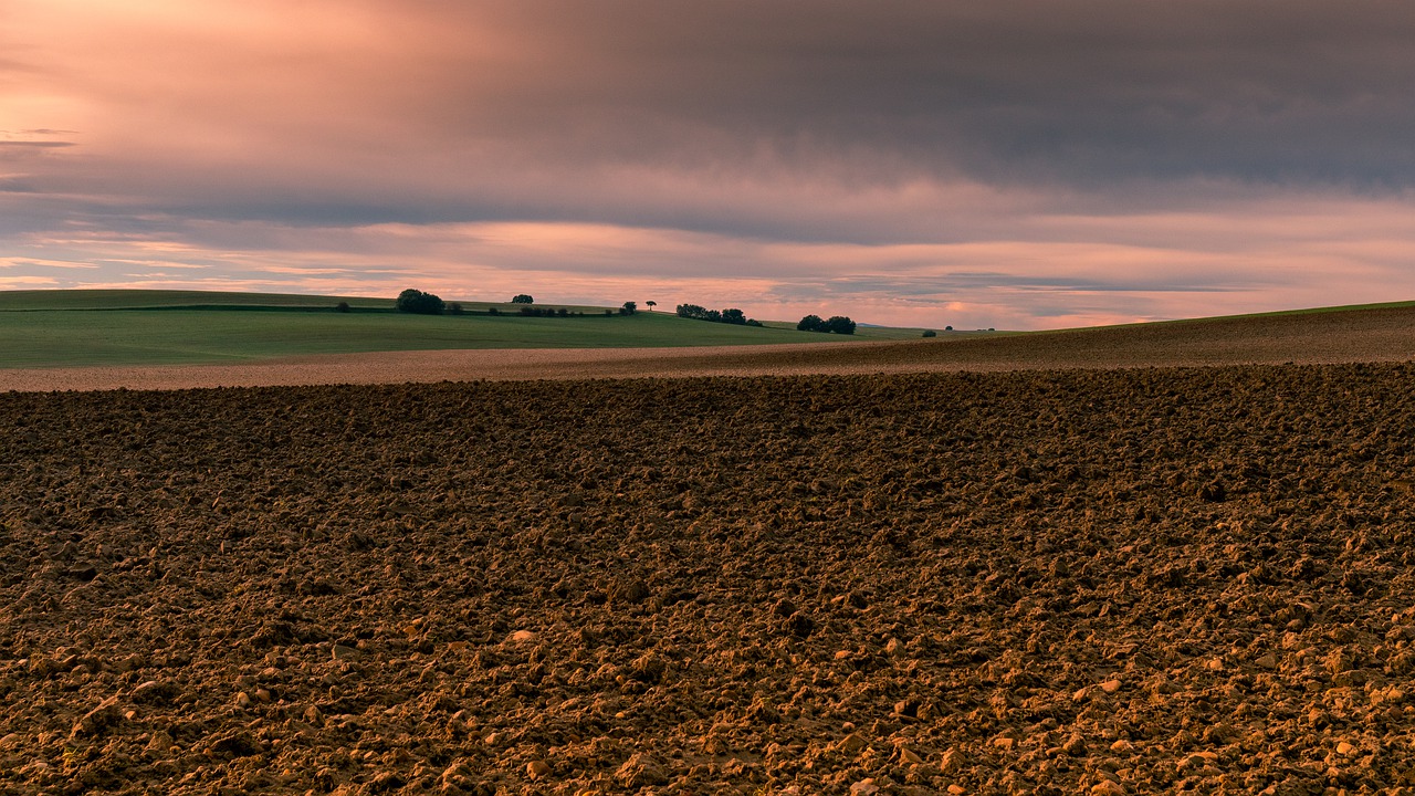 Carrión de los Condes: un pueblo increíble para visitar en Palencia 1 Carrión de los Condes en Palencia, en Castilla y León