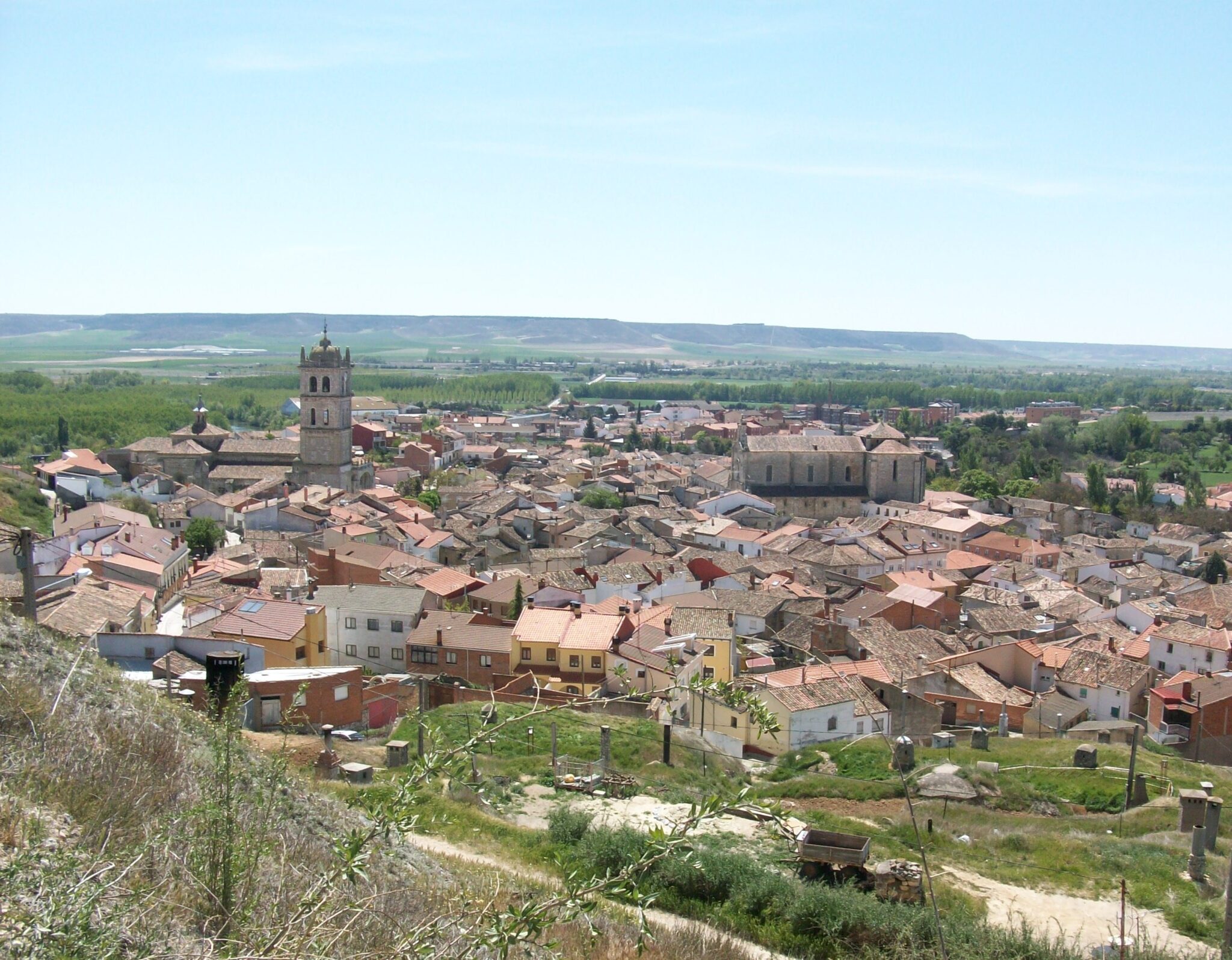 ¿Qué ver en Dueñas? 1 Dueñas