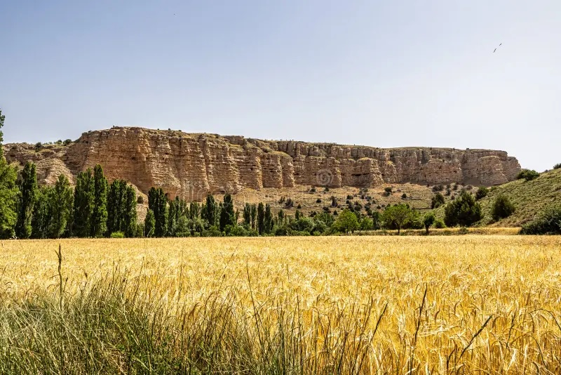 Todo sobre el parque natural de Hoces del río Riaza 1 Hoces del río Riaza