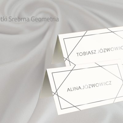 08_Srebrna Geometria