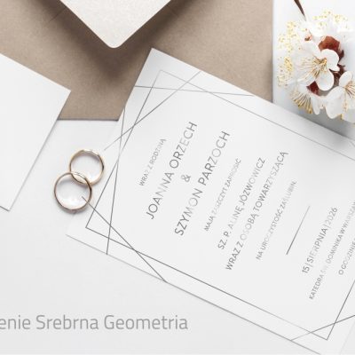 08_Srebrna Geometria