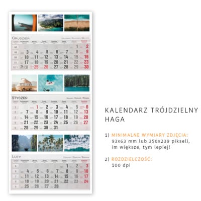 31x68_TRÓJDZIELNE_HAGA