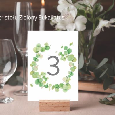 03_Zielony Eukaliptus