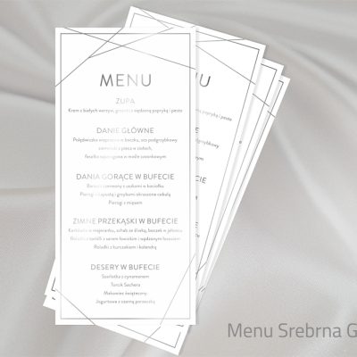 08_Srebrna Geometria