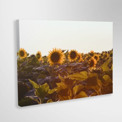 fotoobraz_druk_druk24h