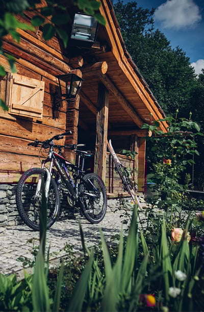 Blauglanzpfau und weißer Pfau am Chalet in Kärnten