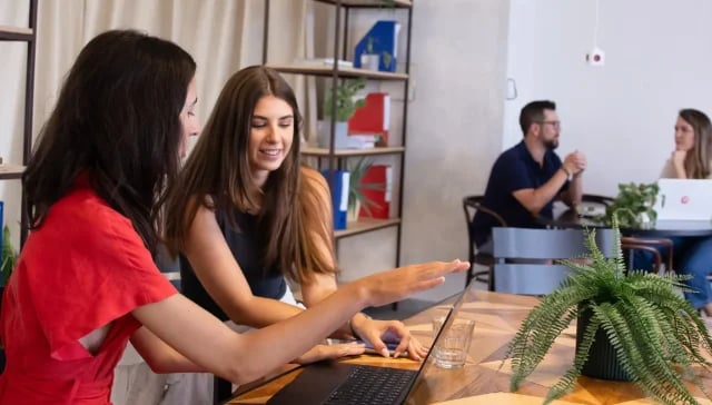 Zwei Frauen arbeiten mit Laptops an einem Tisch und besprechen ihre Marketing-Vereinbarung. Im Hintergrund unterhalten sich ein Mann und eine Frau. Der Tisch und die Regale sind mit einer Pflanze und Büchern geschmückt, was eine konzentrierte und dennoch einladende Arbeitsatmosphäre schafft.