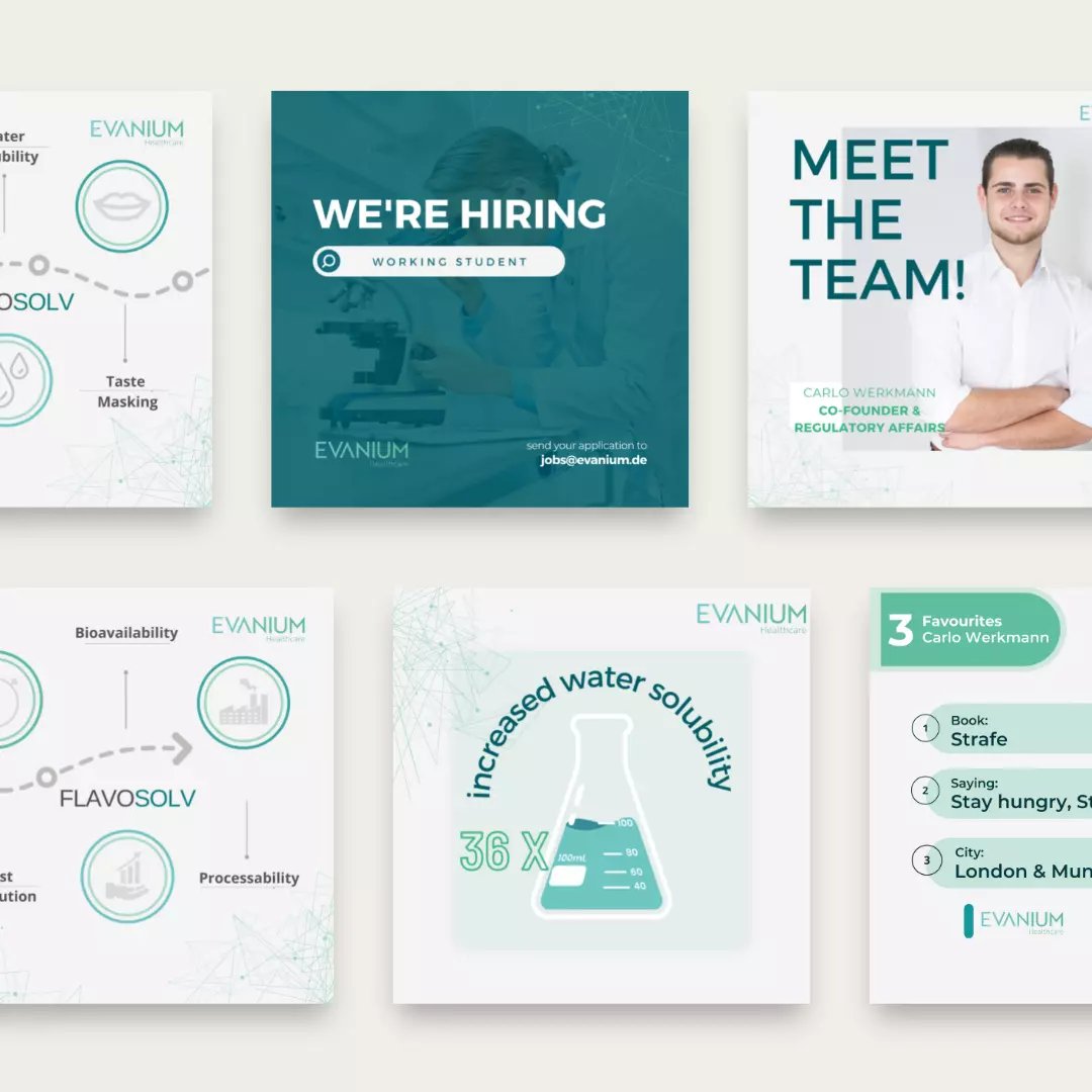 Eine Reihe von Social-Media-Bannern für das Unternehmen Evanium.