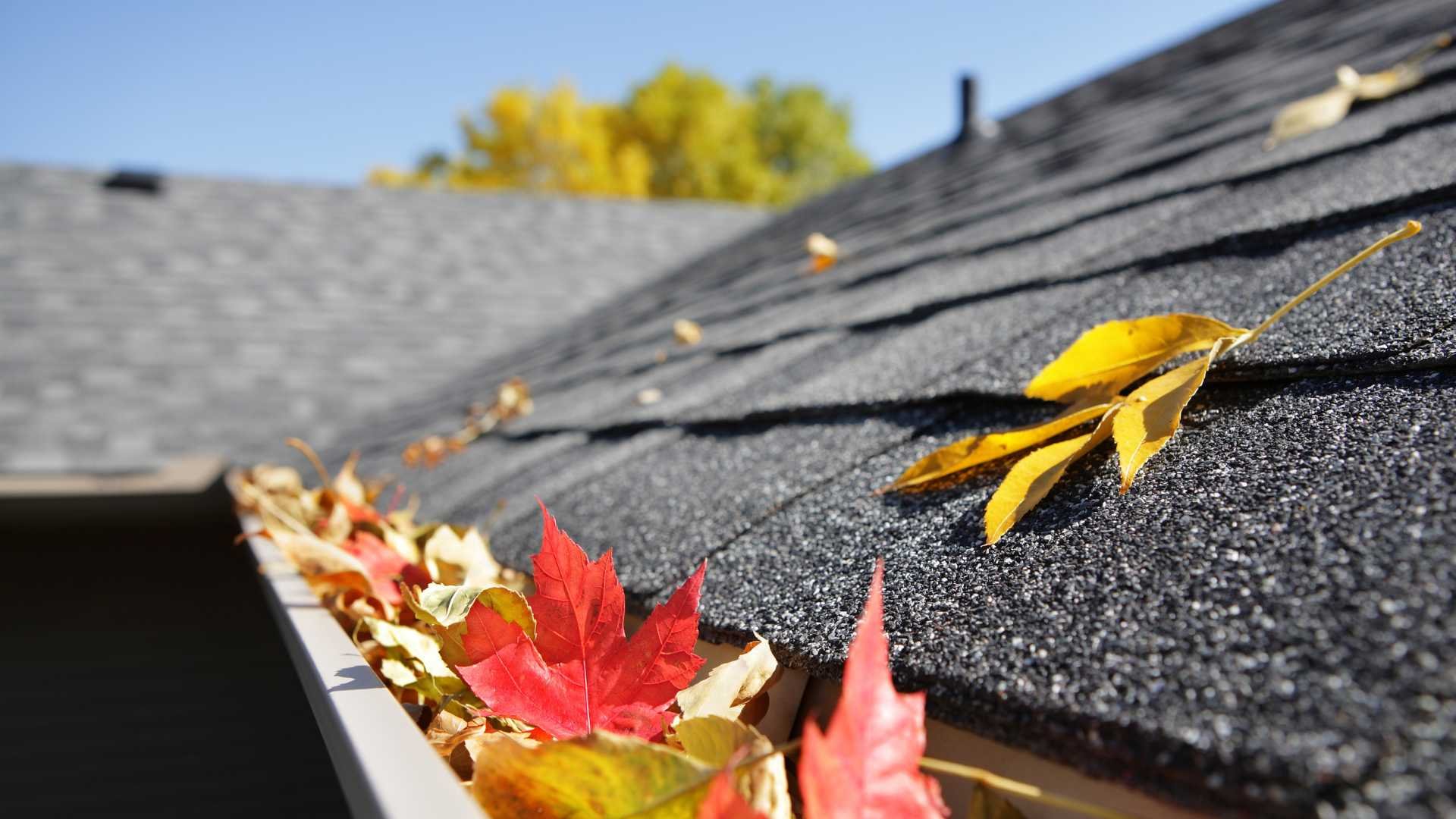 Elevate Your Home's Defense: The Importance of Proper Waterproofing - Image 2