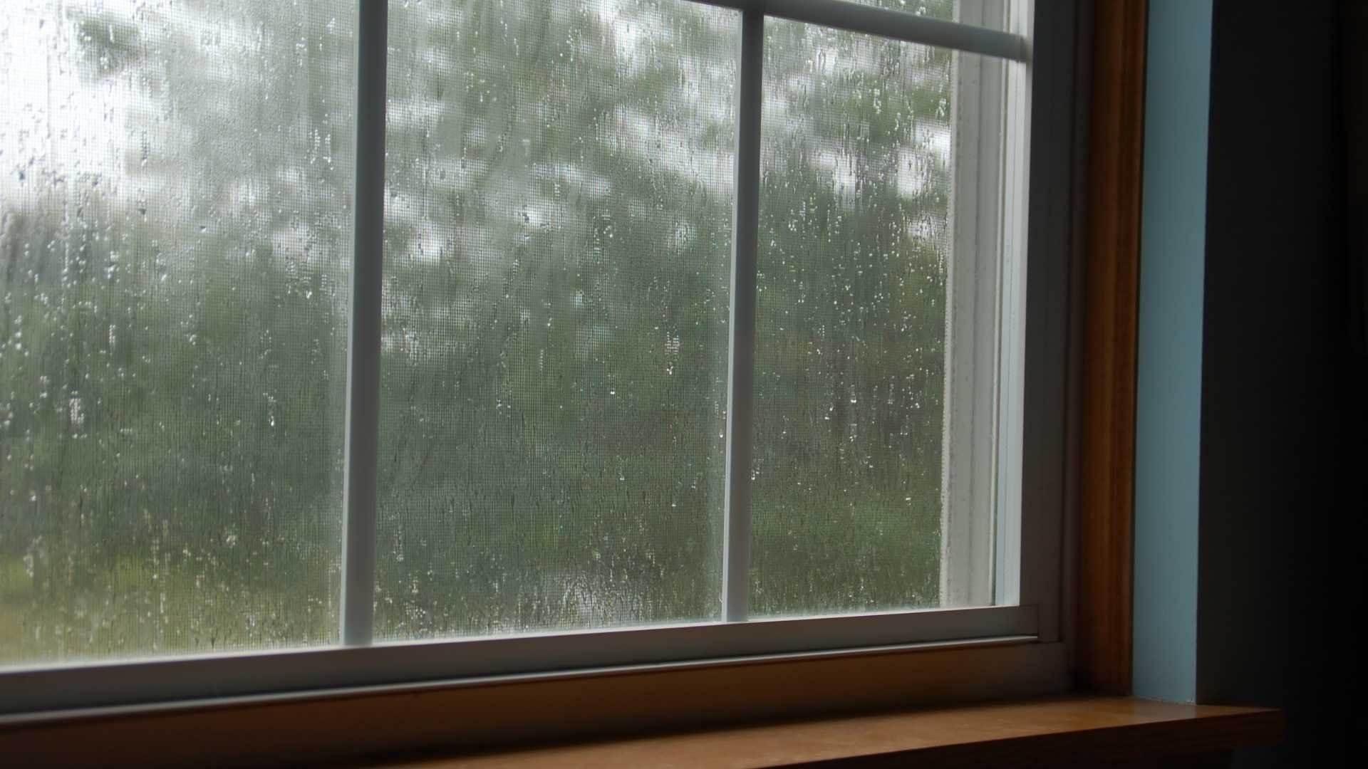 Elevate Your Home's Defense: The Importance of Proper Waterproofing - Featured Image