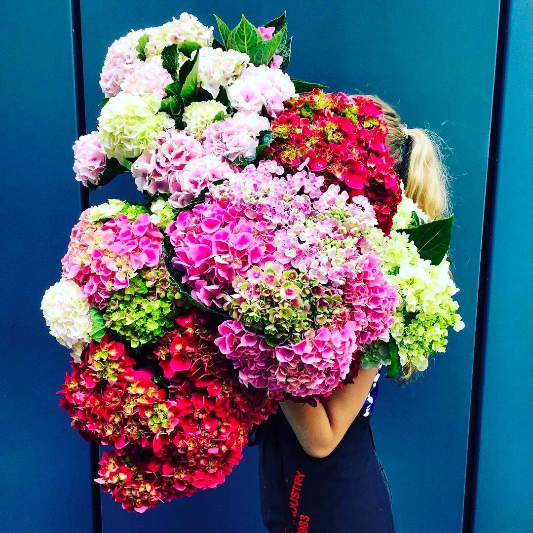Same-Day Flower Delivery in Perth