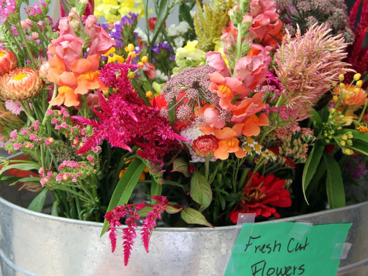 Online flowers Perth