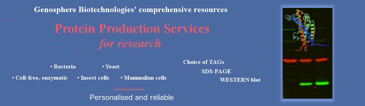 Services de Production de Protéines Recombinantes
