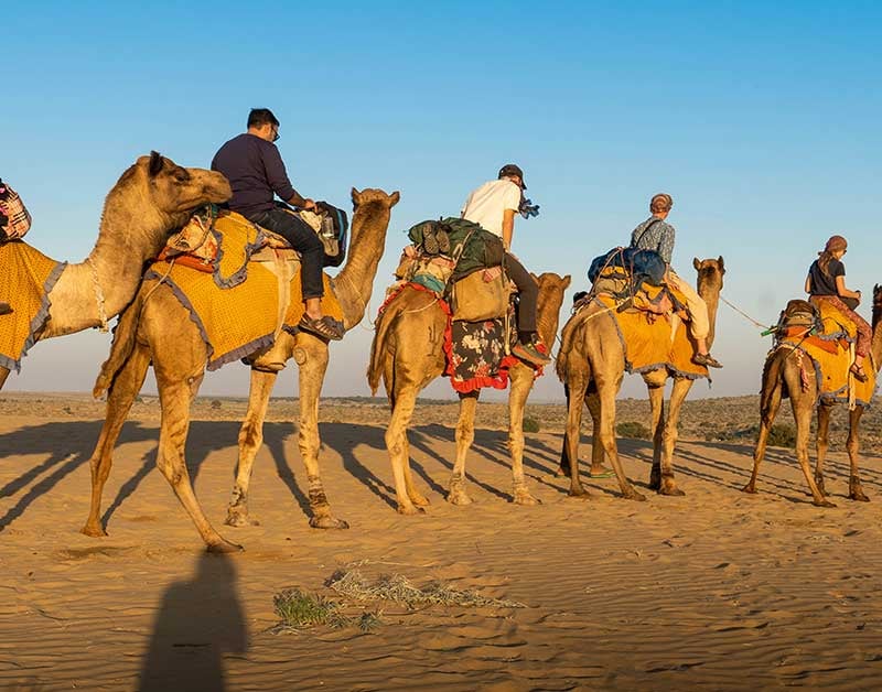 Royal of Rajasthan Tour 6 Nights / 7 Days