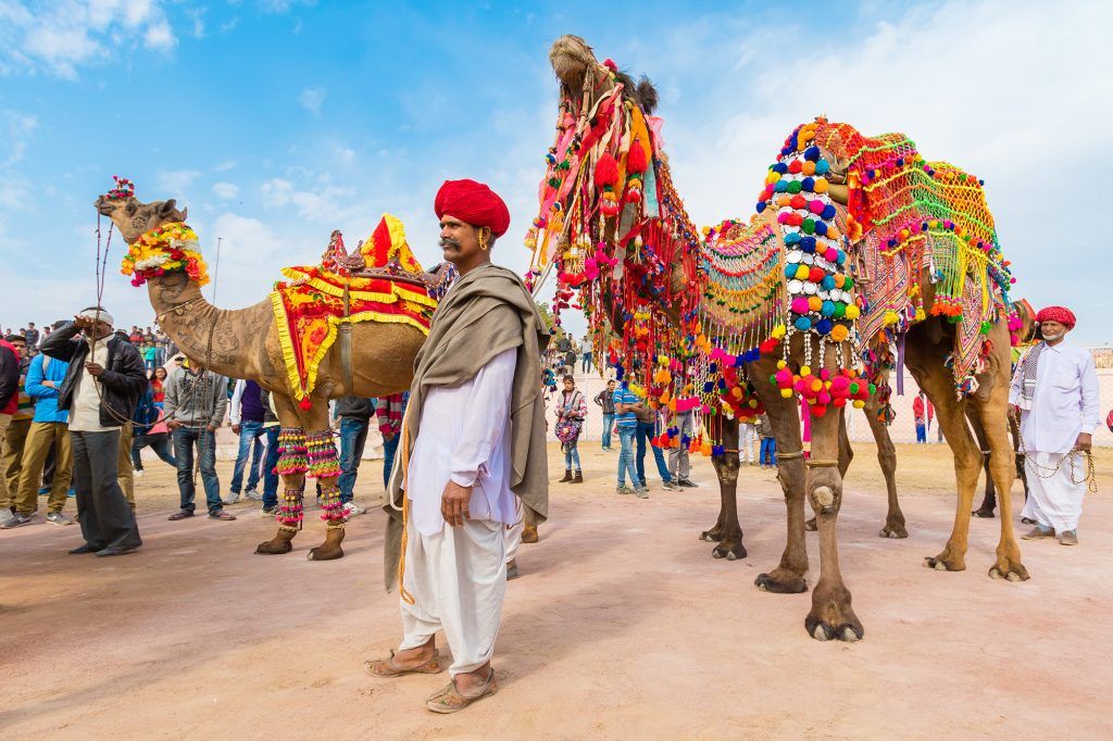 Golden Triangle Tours with Pushkar