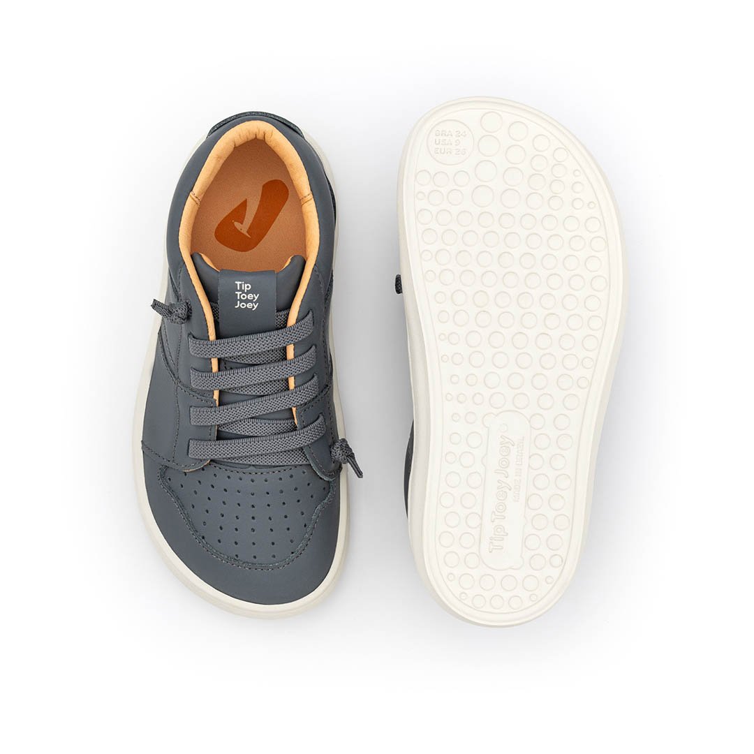 Tip Toey Joey - Ramp Ollie - Slate Blue