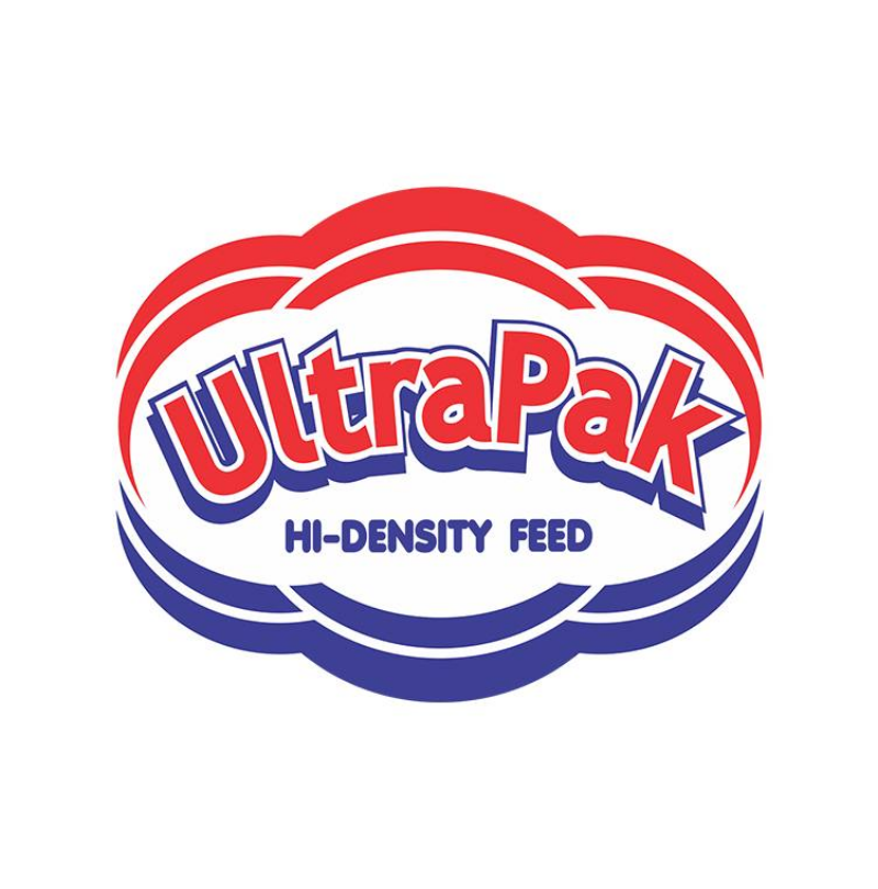 Government Project 1 – 22 img-126