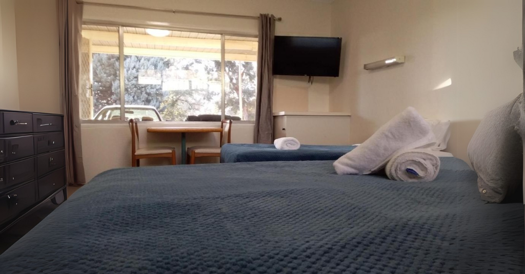 Standard Twin Room img-3