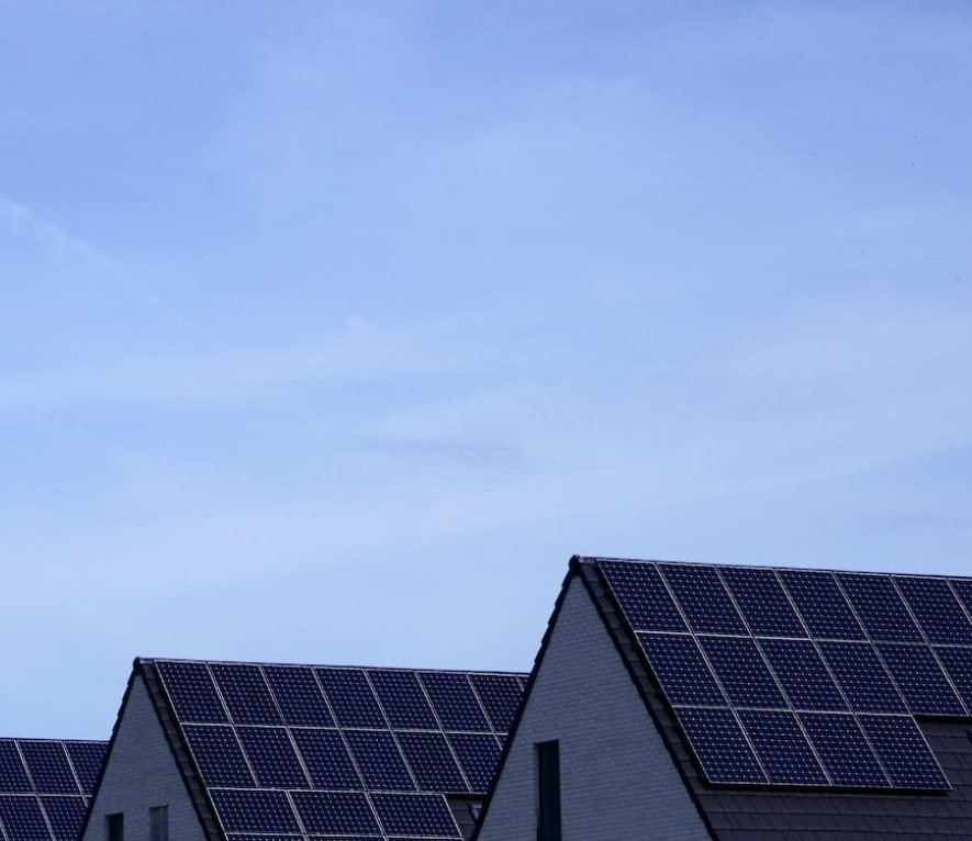 pexels-pixabay-236060 (3)