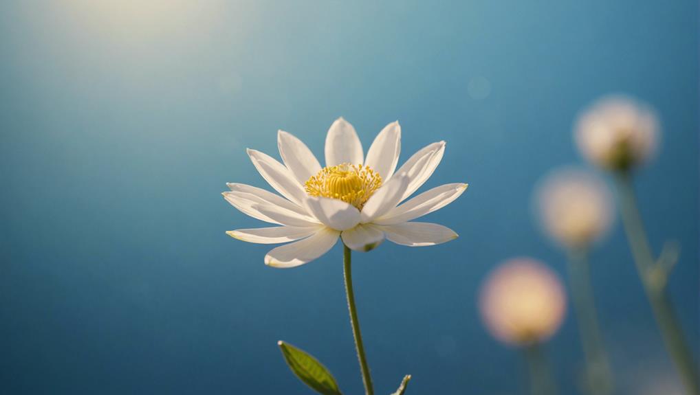 hypnosis for autoimmune relief