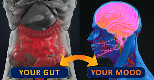 Gut Brain