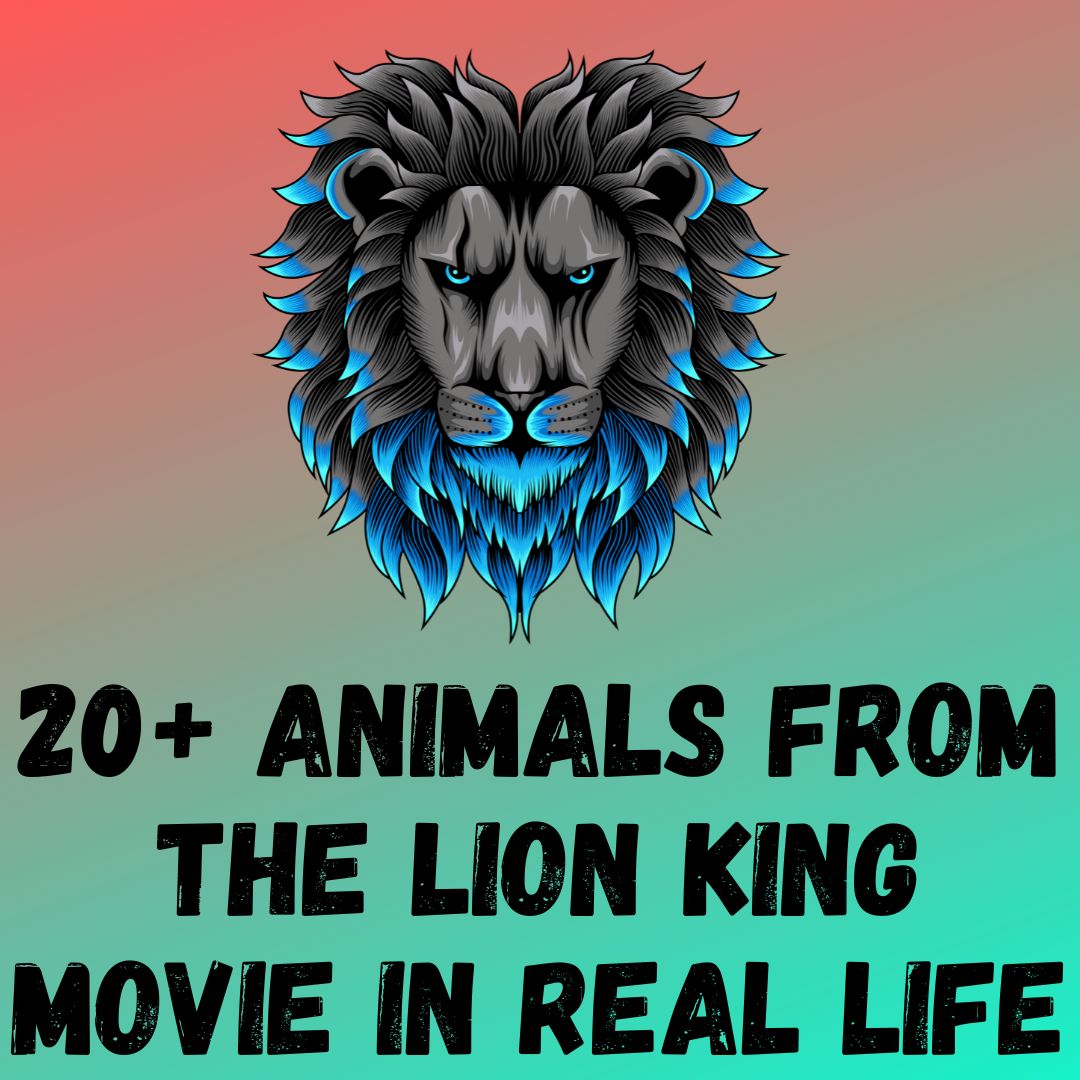 20 Animals From The Lion King Movie You Must Know In Real Life 20 Animals From The Lion King Movie You Must Know In Real Life