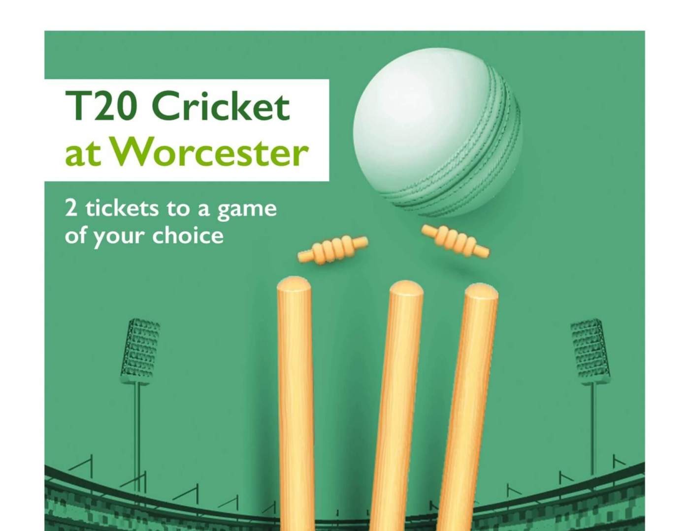 T20 Competition sRGB 2021 (1) img-4