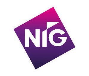 NIG Logo