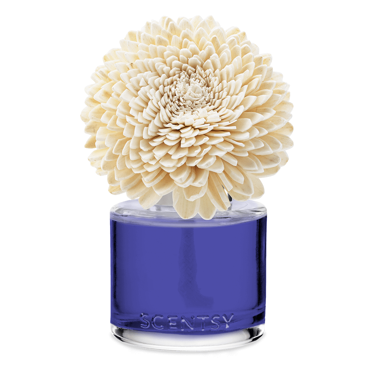 SCENT-FragranceFlower-ZinniaZen-Kindness-ISO-Glass-Logo-RA-SS24-PWS img-6