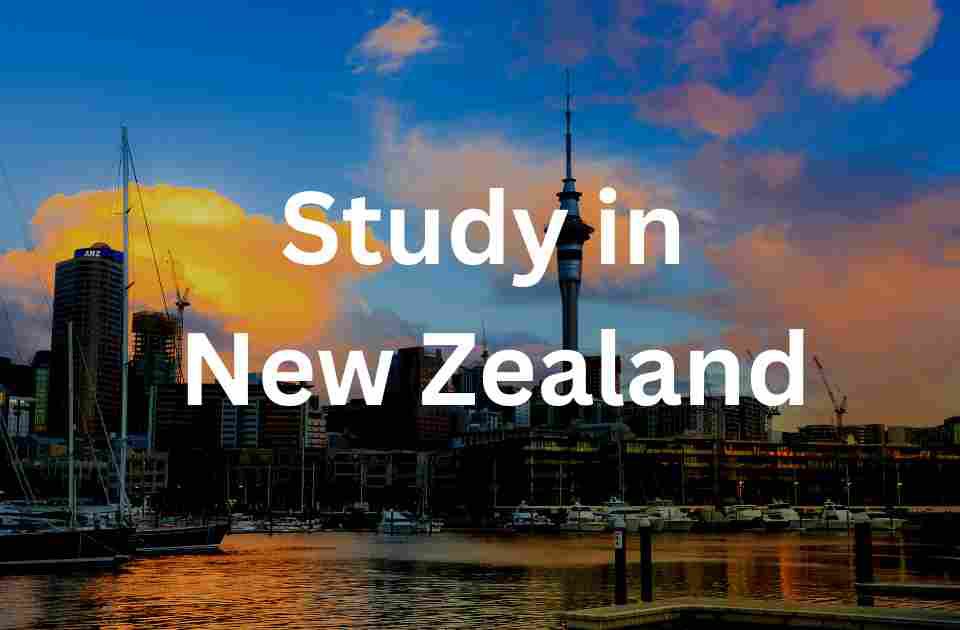 Study In New Zealand