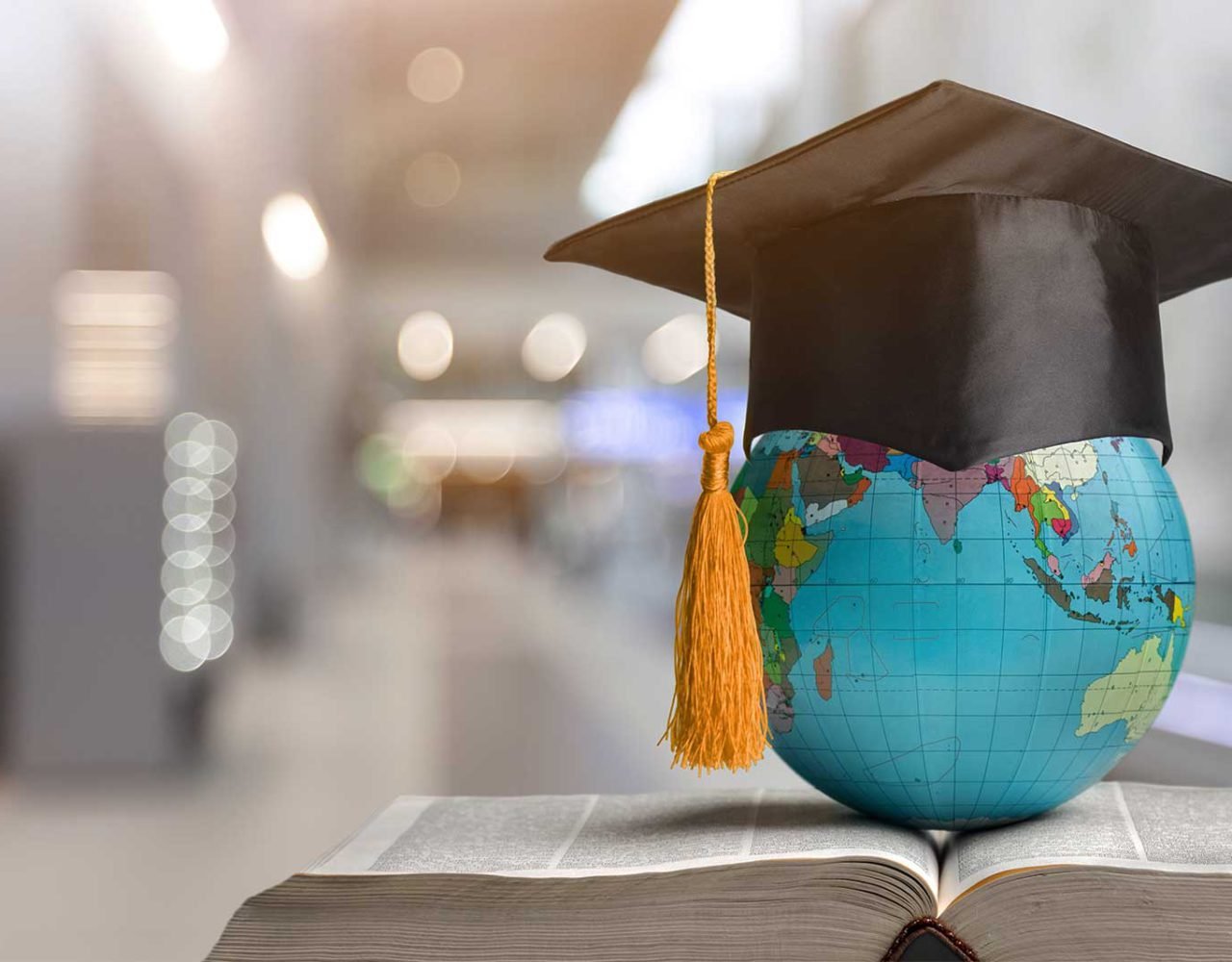 Overseas Job Consultancy In India