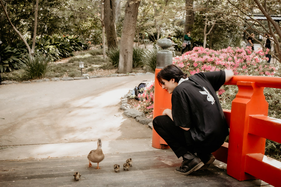 2V7A5216 senior guy portrait