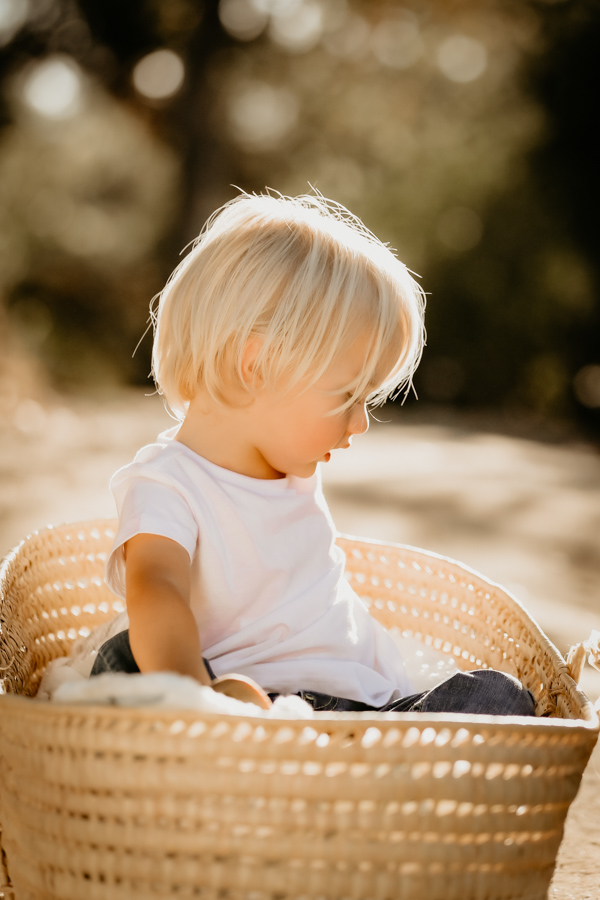 2V7A7773 child, boy, toddler, family portraits