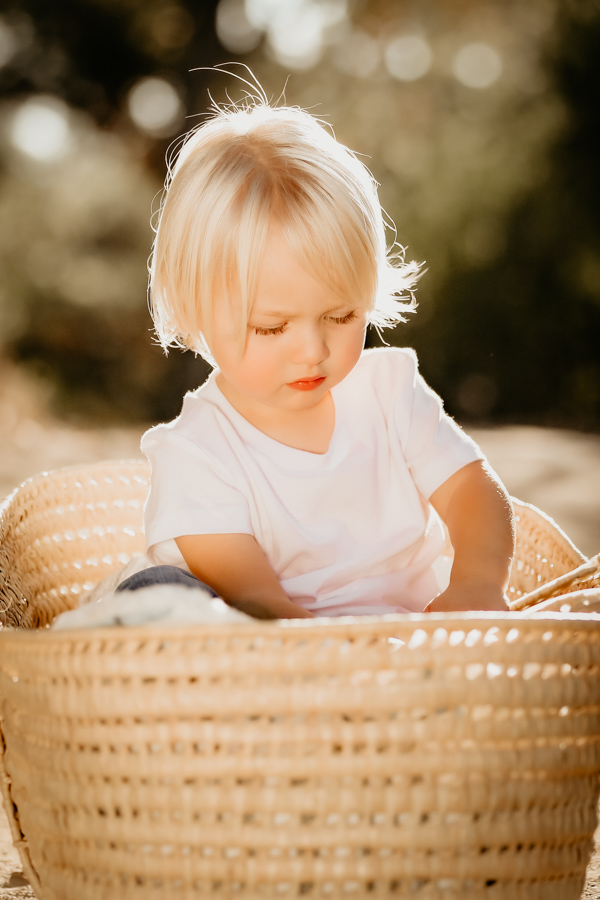 2V7A7781 child, boy, toddler, family portraits, natural light photography
