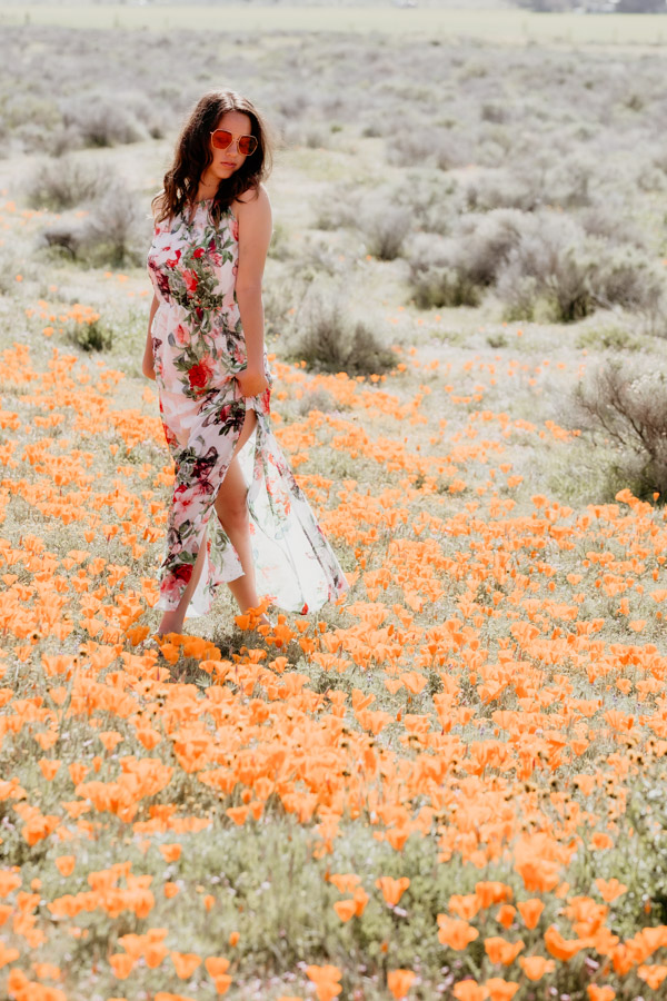 2V7A5971 poppy fields, poppy flowers, Lancaster poppies, high school senior portraits, beautiful girl in flower field