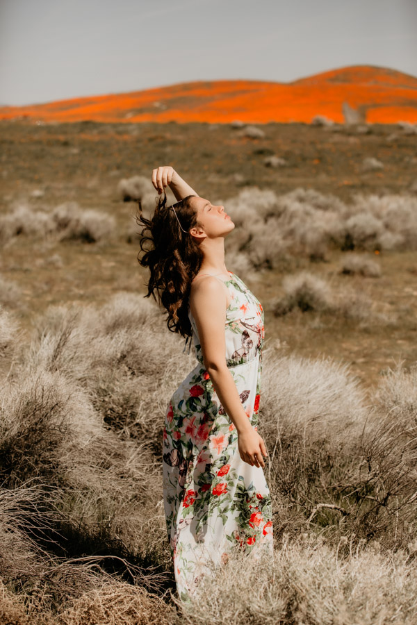 2V7A6102 high school senior portraits, poppy flowers, poppy fields, Lancaster poppies