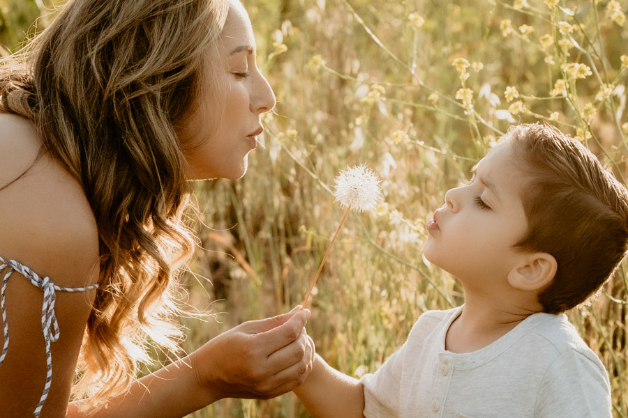 2V7A7200 mother and son, dandelion, family portraits