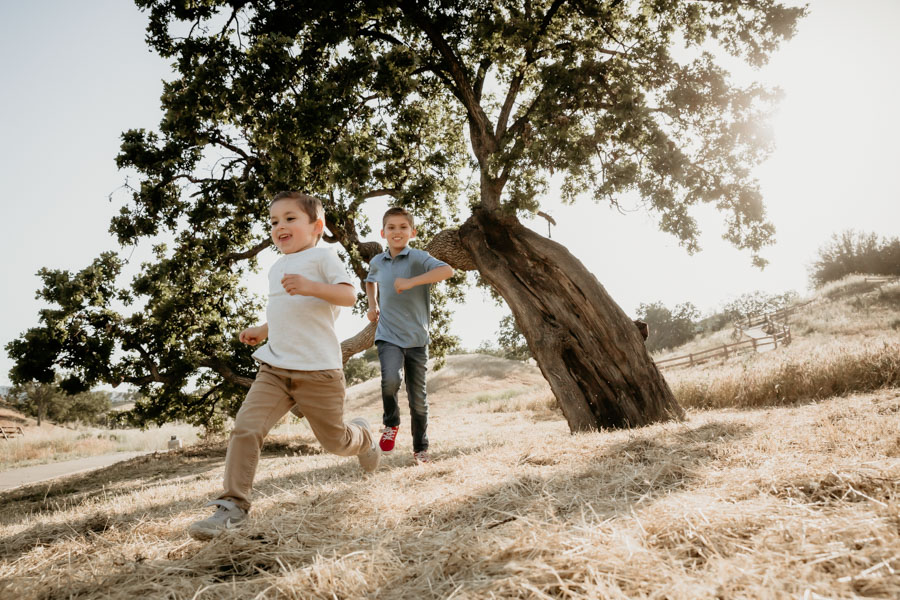 6G4A8529 brothers, family portraits, golden hour photography