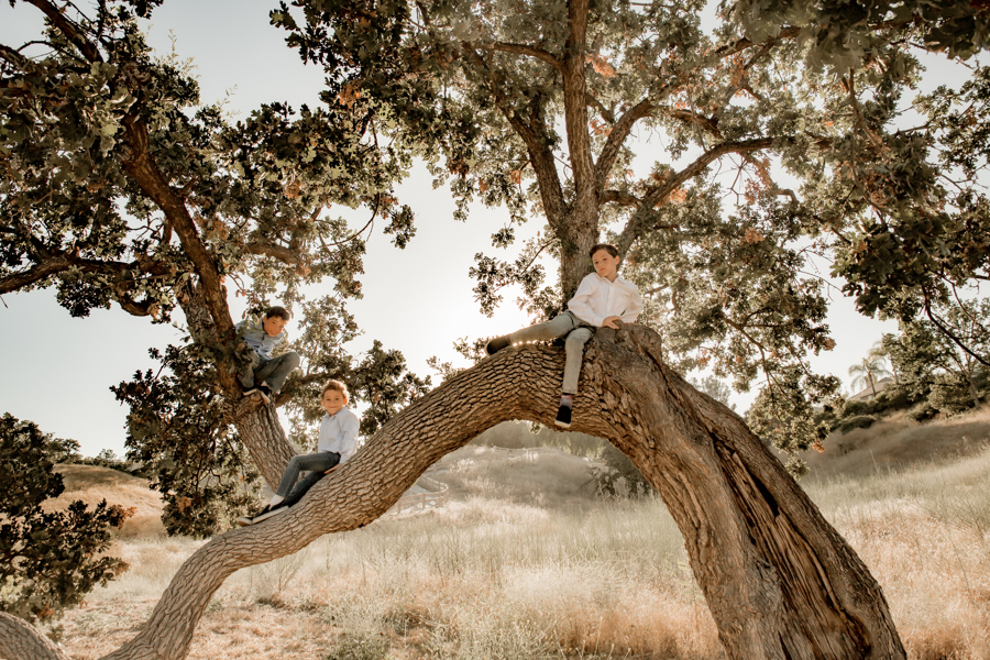 6G4A8712 family portraits, child photography, siblings, Valencia photographer