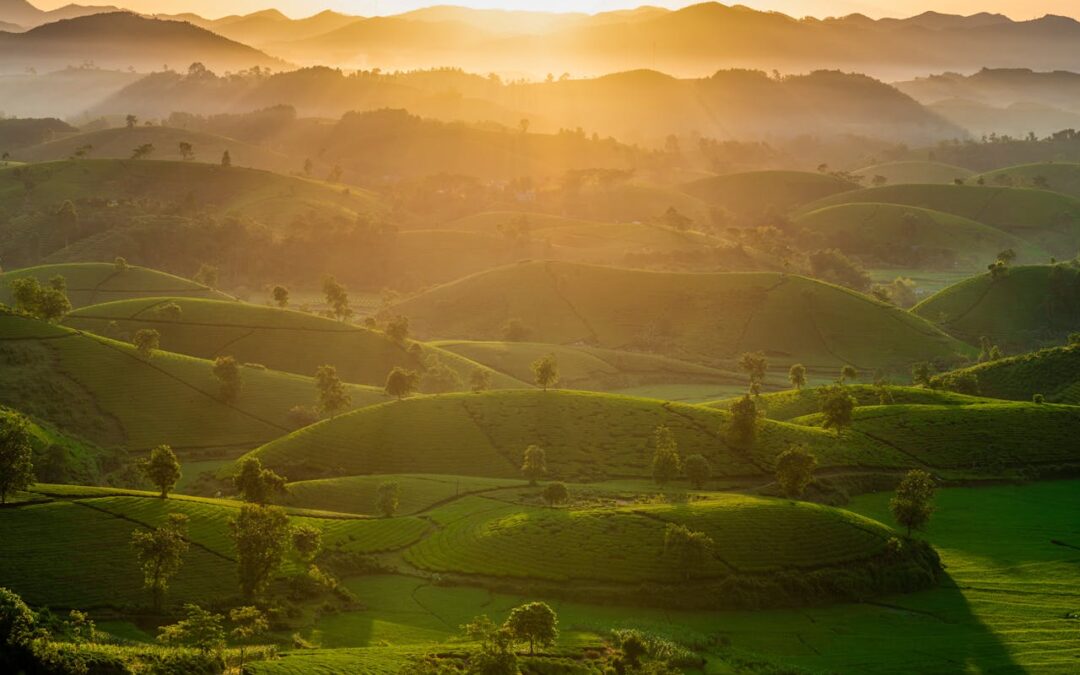 Les 10 spots les plus Instagrammables du Vietnam en 2025.