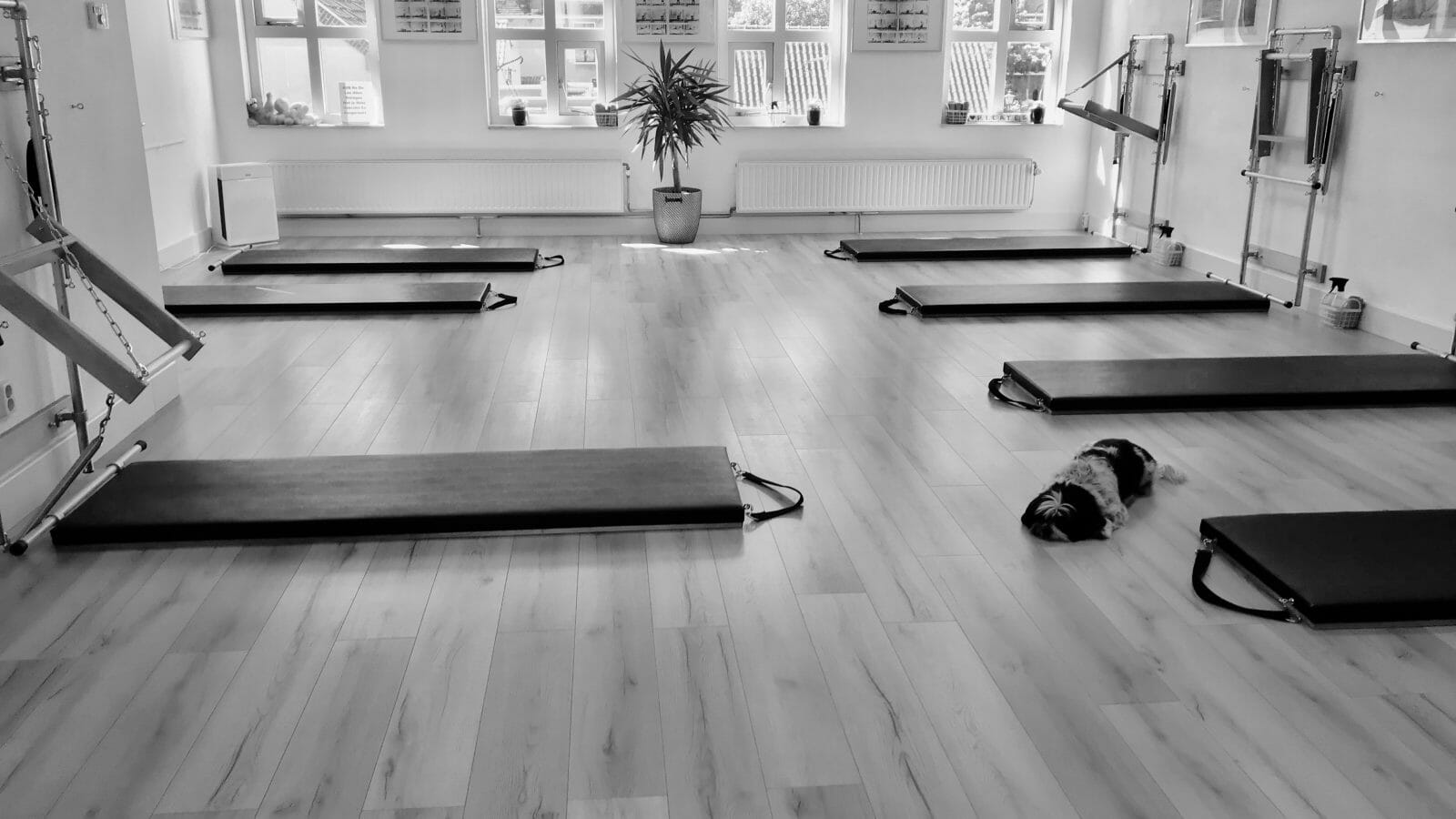Voordelig Pilates in Zoetermeer. Pilates met apparaten bij Pilates Studio Van Sonsbeek