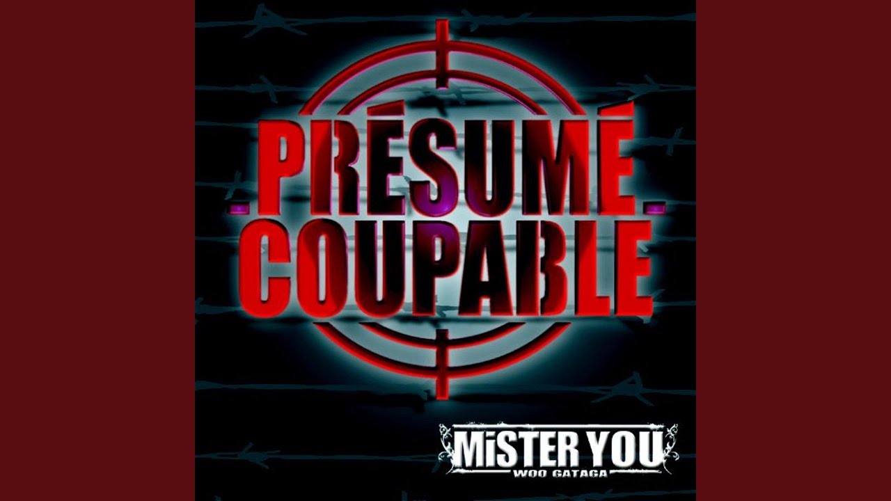 savoie : un conducteur ivre provoque un accident et menace les policiers à Évian les bains