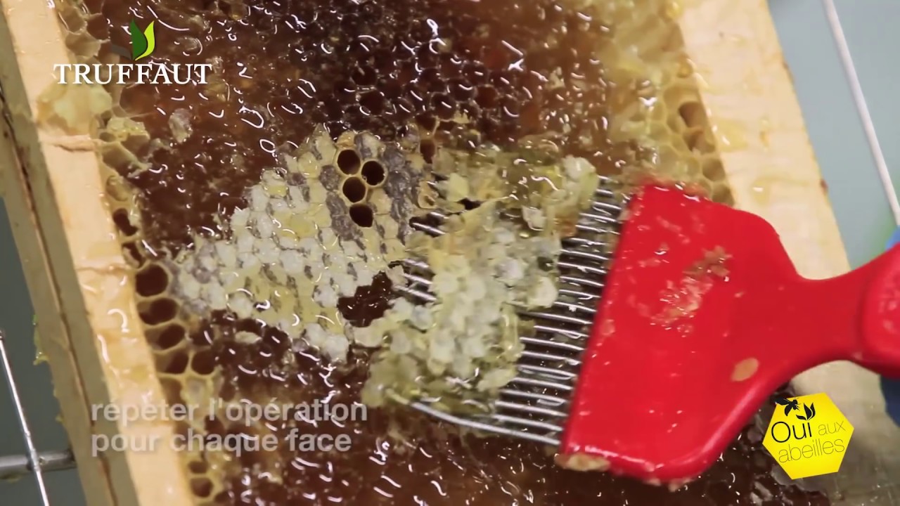cédric grand met en lumière la réussite de la récolte de miel en maurienne grâce à une floraison exceptionnelle