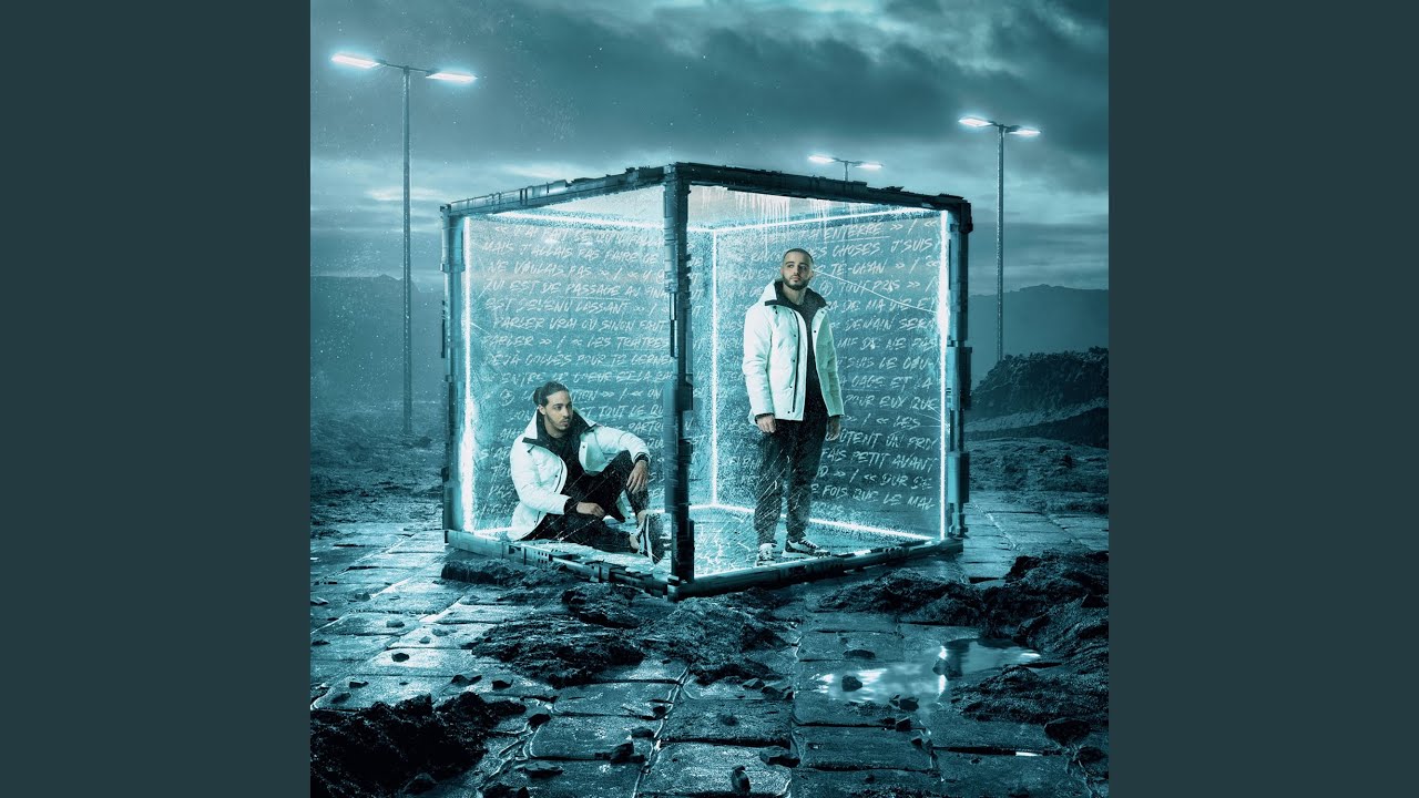 loup en haute savoie : la colère monte chez les éleveurs après une série d’attaques à chavanod