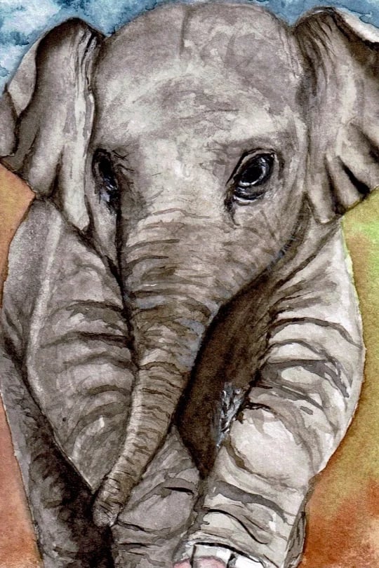 RNA_Portfolio_Aquarell_BabyElefant img-4