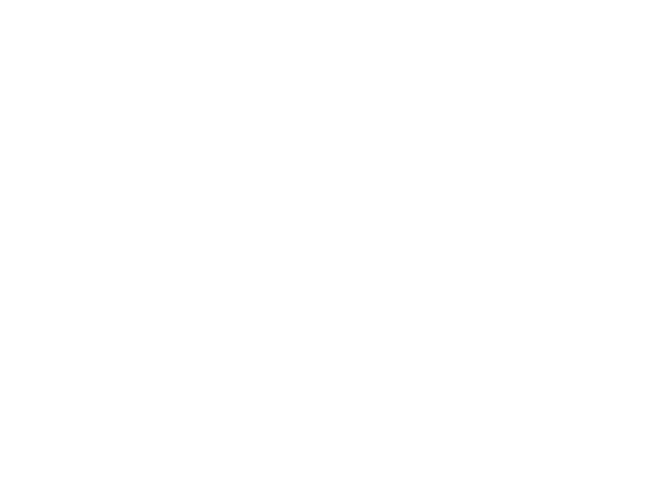 RNA Aquarell Papagei Papagei in Aquarell by renataneumann.art