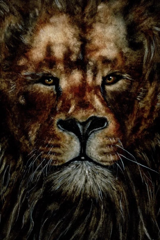 RNA_Portfolio_Aquarell_Löwestark img-5