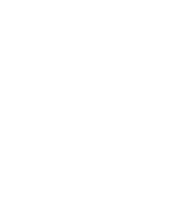 RNA WorkinProgress Papagei img-8